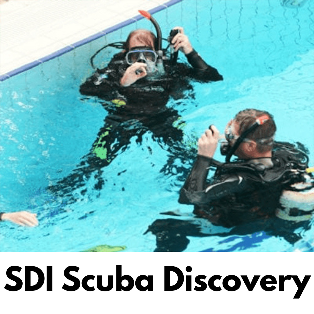SDI Scuba Discovery Questions & Answers