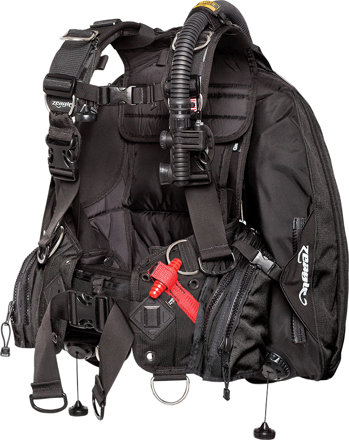 Ranger LTD BCD Questions & Answers