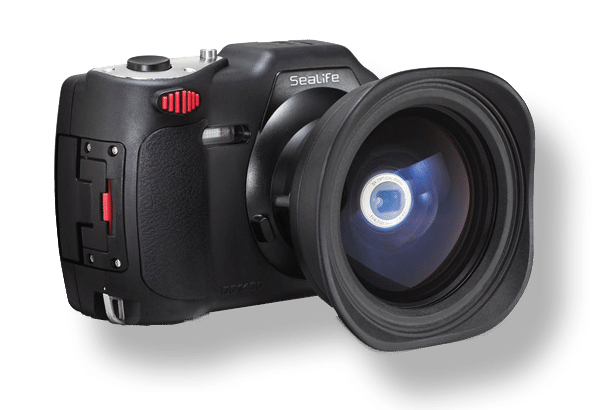 Can I buy spare O rings and moisture munchers for the DC 1400? I understand this camera is discontinued for 2016. Thanks.