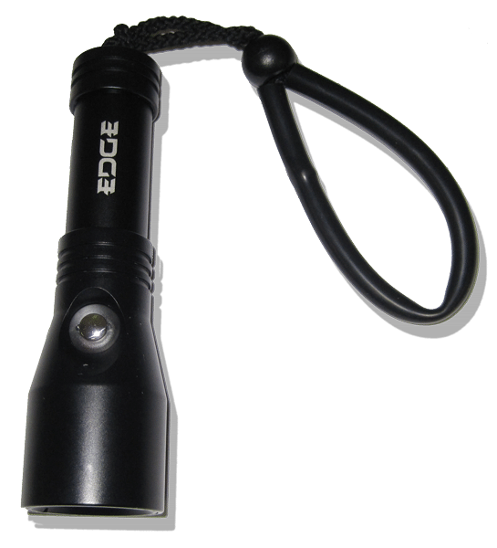 Can you purchase this light with the video head vice the spot beam?  I don't see the video head or the wrist holder listed as a product in you online catalog.